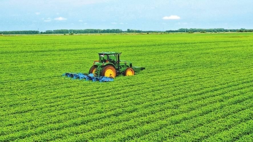 中国农业的开展.jpeg 中国农业的开展.jpeg